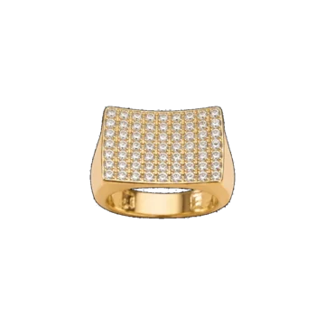 Goldener Ring 13